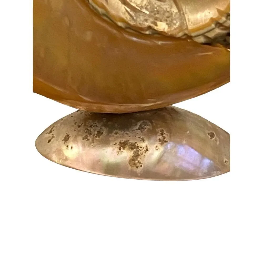 Victorian Hand Carved Conch Shell Basket Bowl Caviar  Dish Mother of Pearl Antiq
